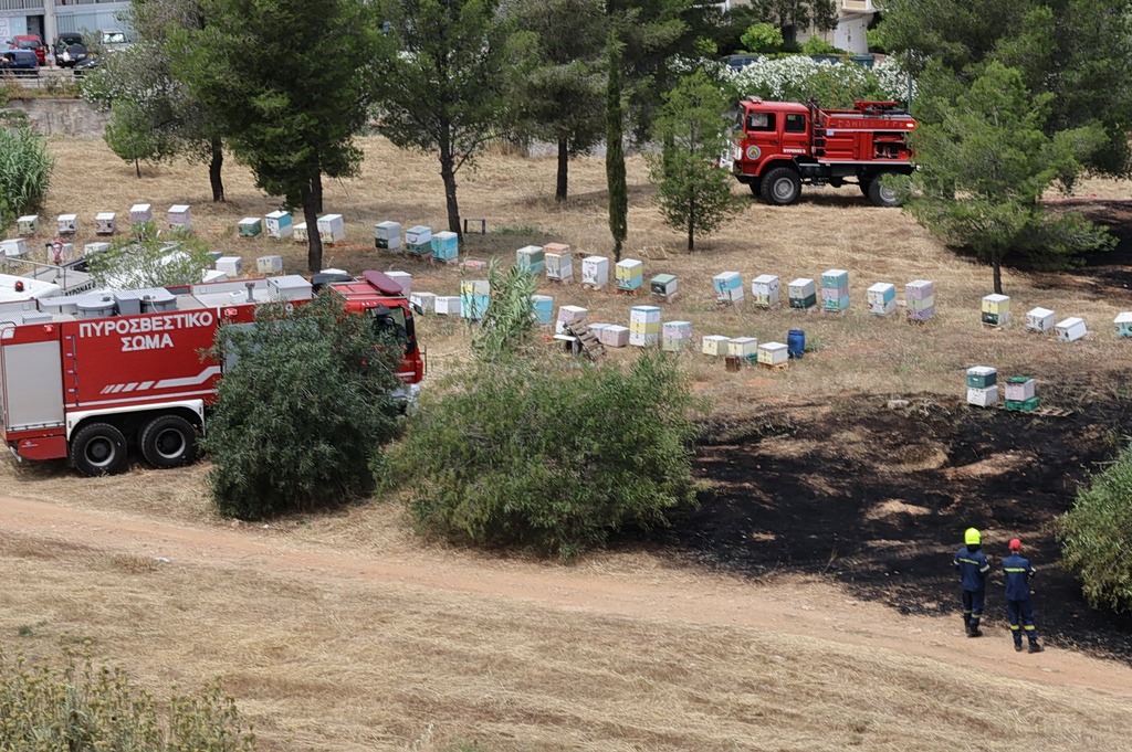 Ψάχνουν μελισσοκόμο για τη φωτιά στο Άλσος Βεΐκου – Την έσβησαν πριν πάρει διαστάσεις