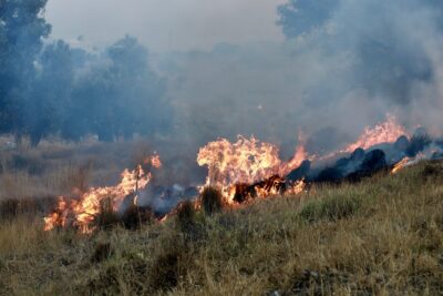 Φωτιά στην Κάλυμνο: Σε πλήρη κινητοποίηση η Πυροσβεστική – Ενισχύονται οι δυνάμεις με πυροσβέστες και οχήματα από την Κω