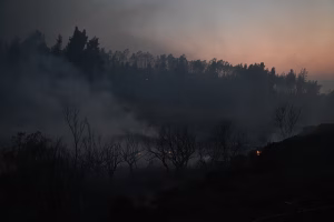 Πυρκαγιά σε δασική έκταση στην Πρώτη Σερρών