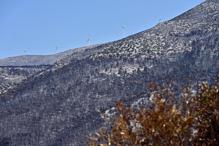 Πόρτο Γερμενό: Έως και 14°C αυξήθηκε η θερμοκρασία του εδάφους μετά την καταστροφική πυρκαγιά