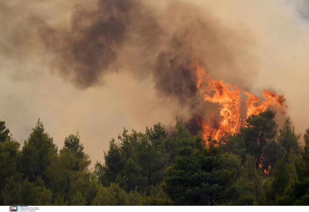 Συλλήψεις δύο ανδρών σε Τρίκαλα και Κάρυστο για εμπρησμό από πρόθεση και από αμέλεια αντίστοιχα